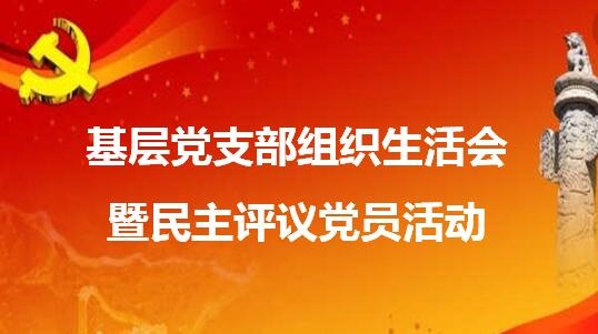 上藥常藥黨委各支部召開組織生活會并開展黨員民主評議活動